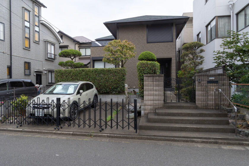 所沢市の猫