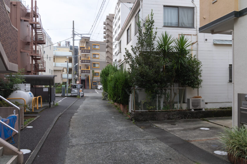 小田原市の猫