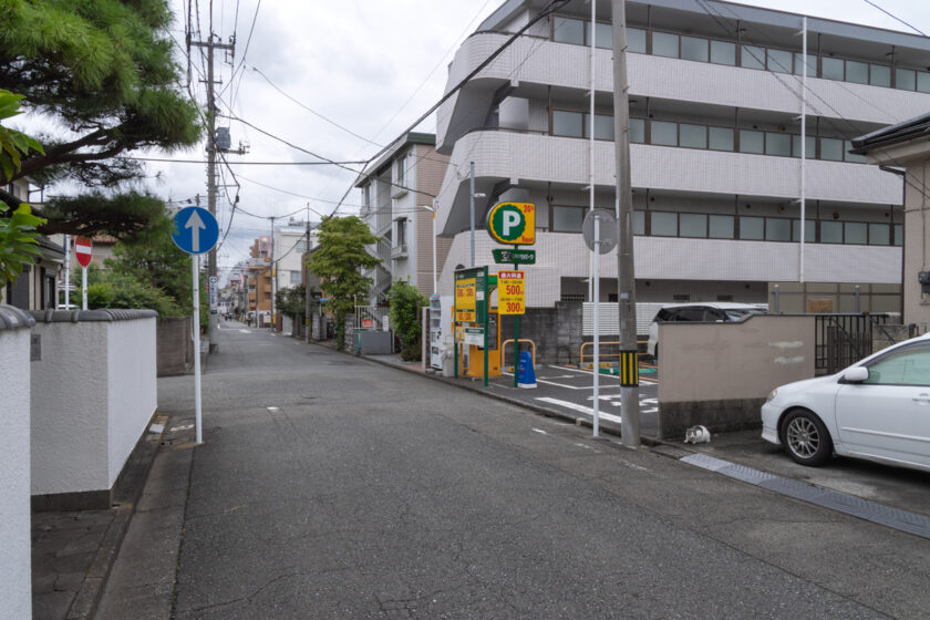 相模原市の猫