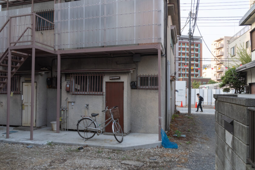 府中市の猫