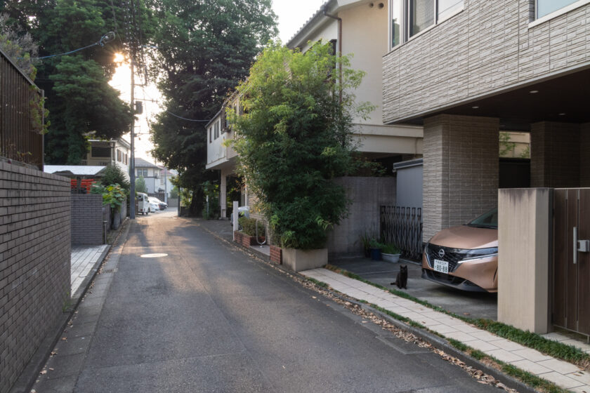府中市の猫