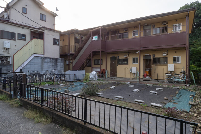 府中市の猫