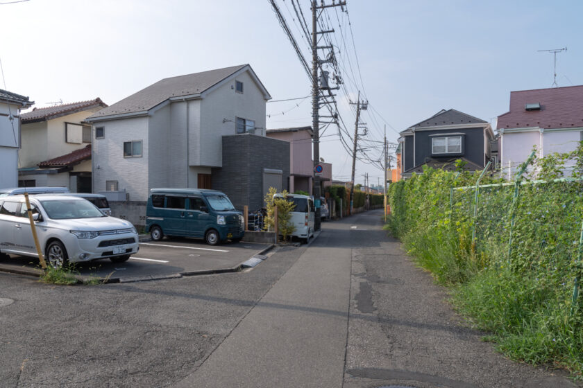 府中市の猫