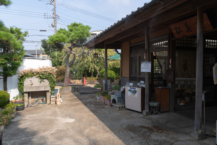 府中市の猫