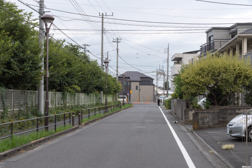 府中市の猫