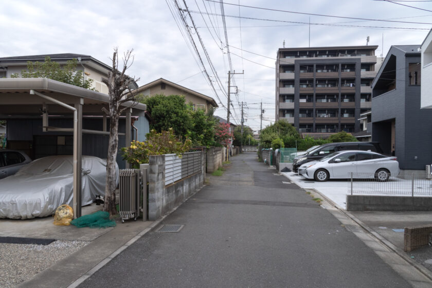 国立市の猫