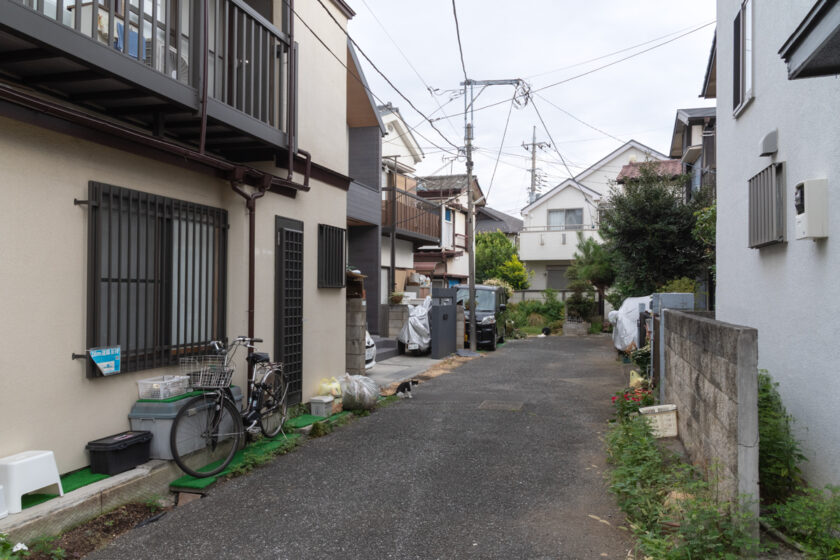 立川市の猫