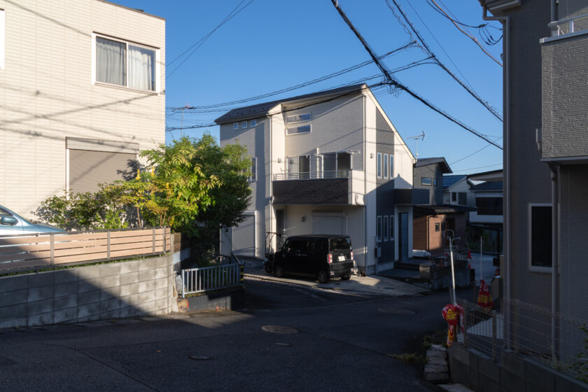 日野市の猫