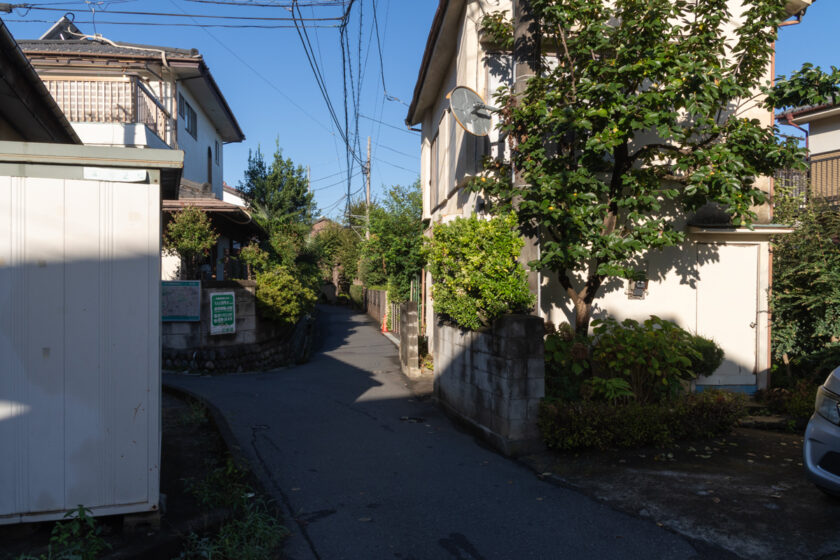 日野市の猫