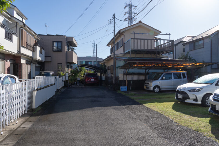 日野市の猫