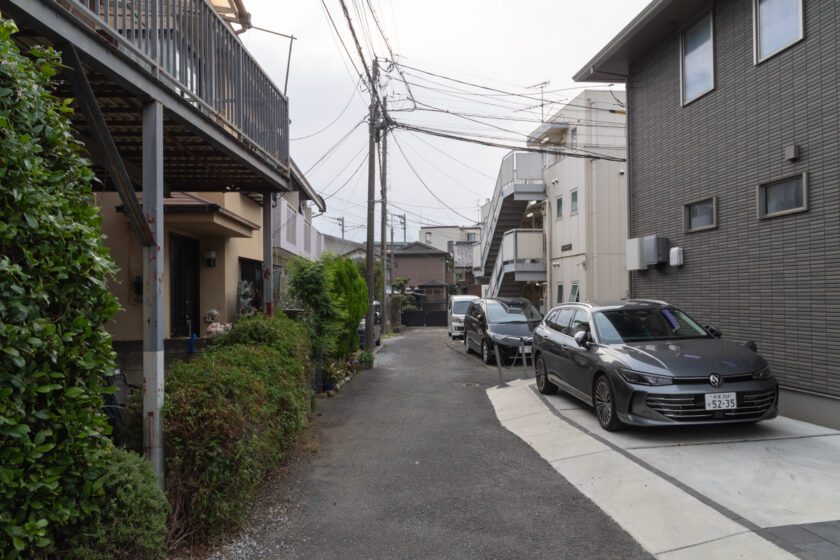 稲城市の猫
