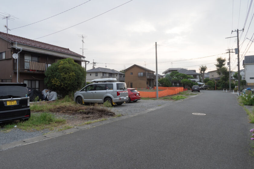 川崎市の猫