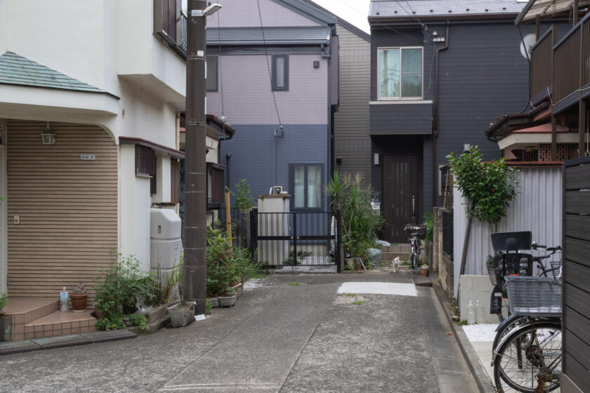 川崎市の猫