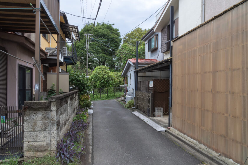 福生市の猫