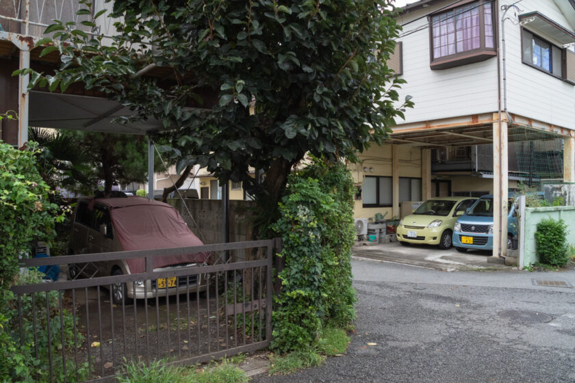 昭島市の猫