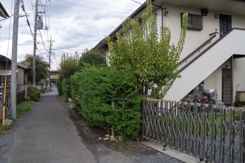 昭島市の猫