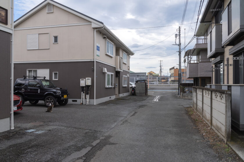 昭島市の猫