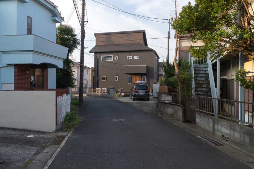日野市の猫