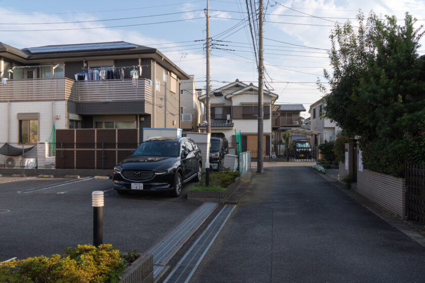 日野市の猫
