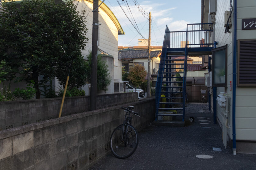 府中市の猫
