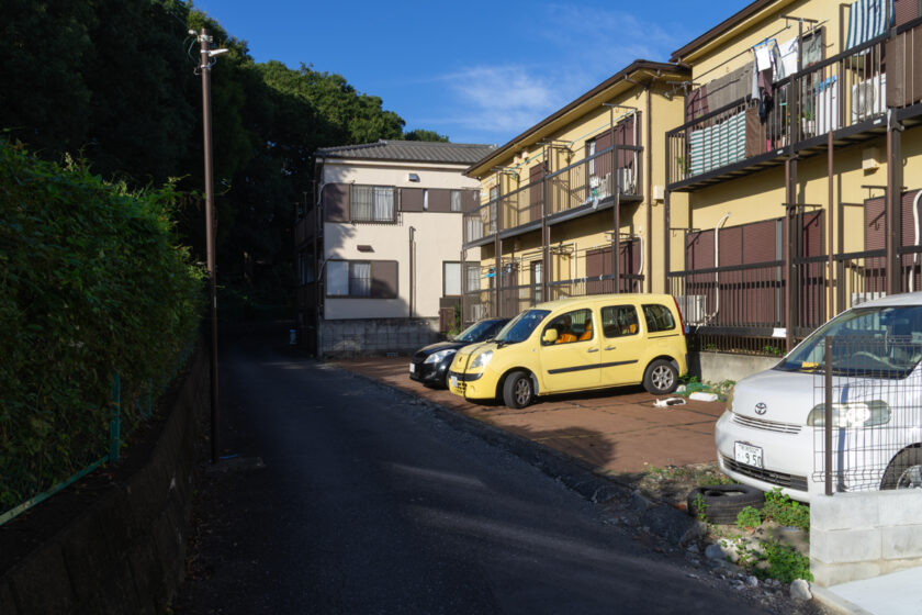 府中市の猫