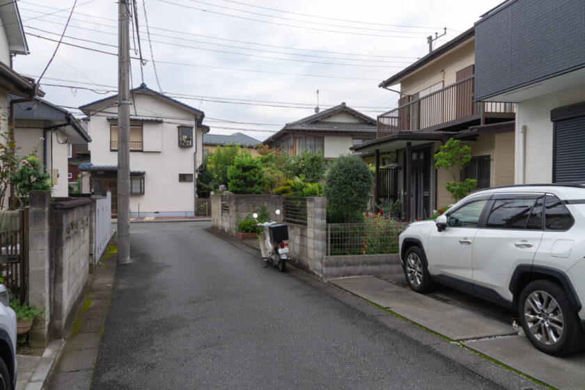 府中市の猫