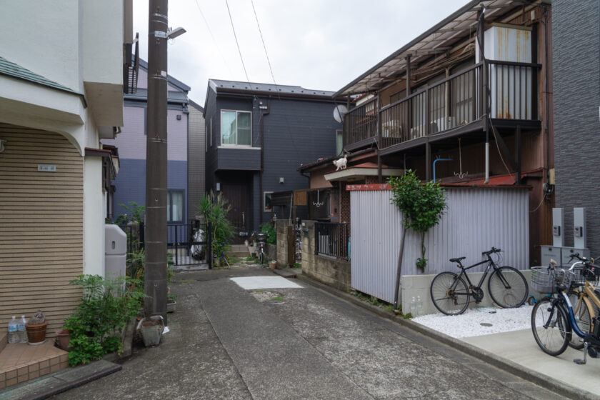 川崎市の猫