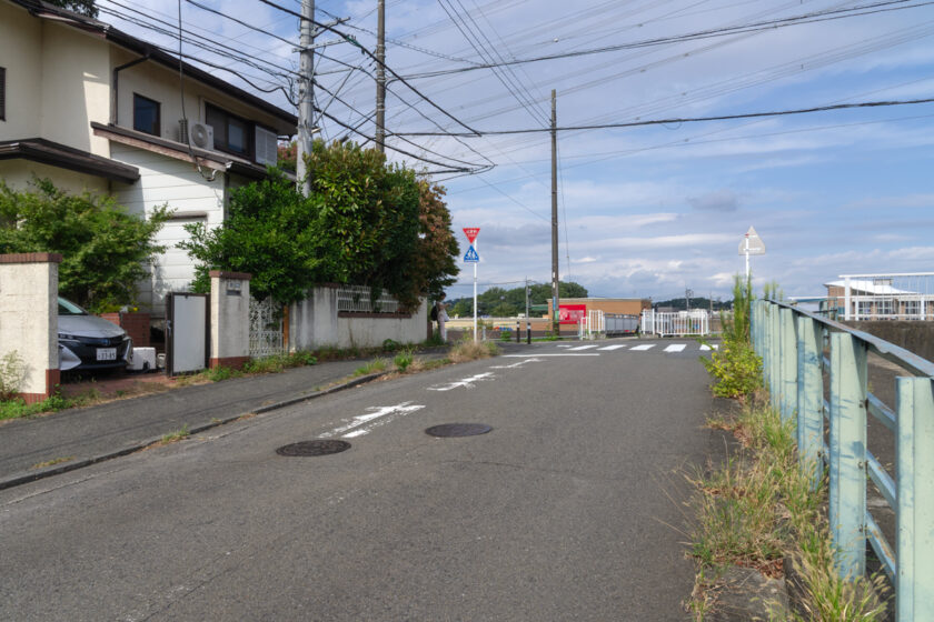 川崎市の猫