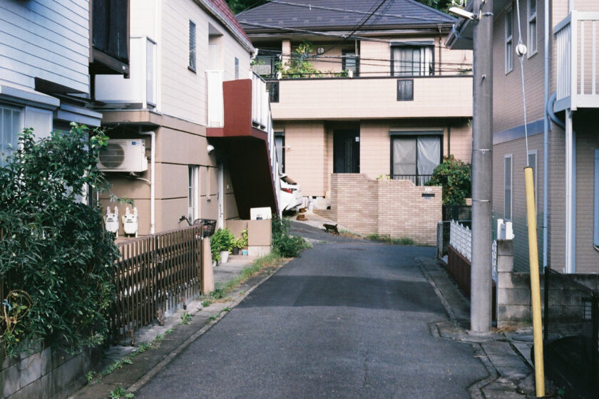 川崎市の猫