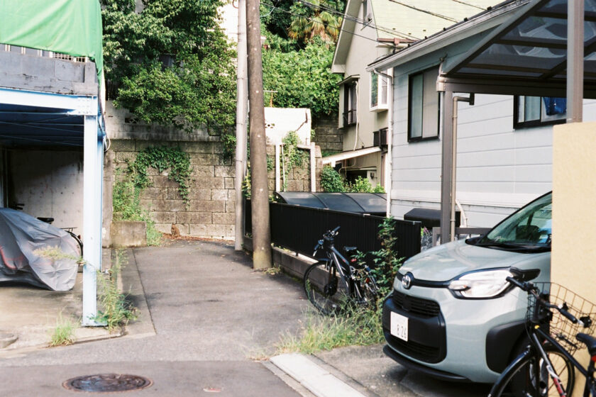 川崎市の猫