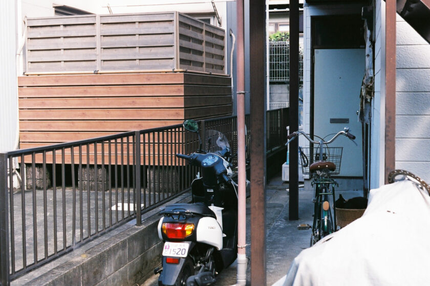 川崎市の猫