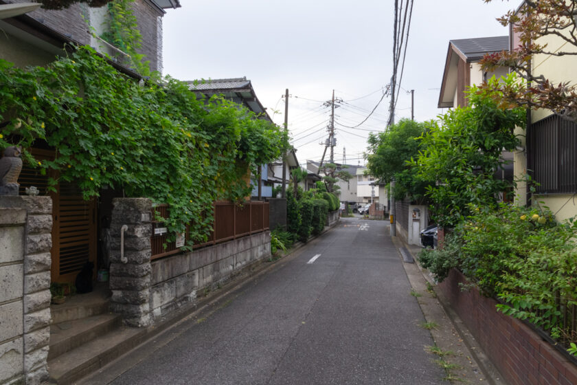 立川市の猫