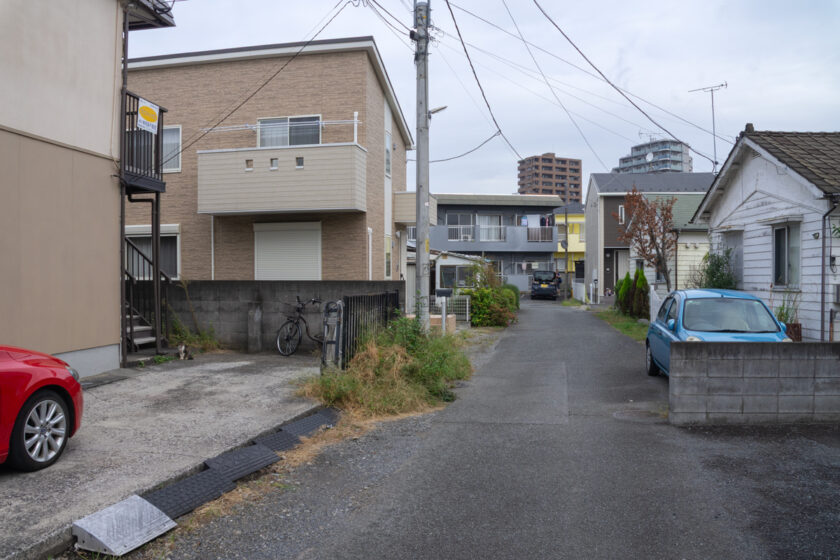 昭島市の猫