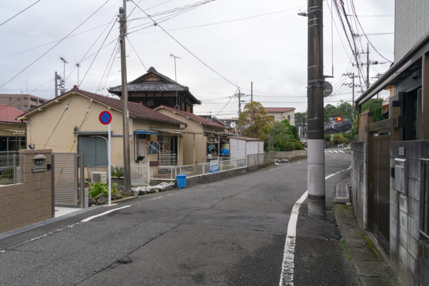 八王子市の猫