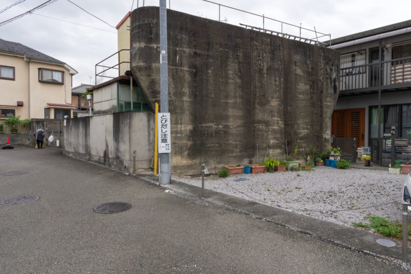 八王子市の猫