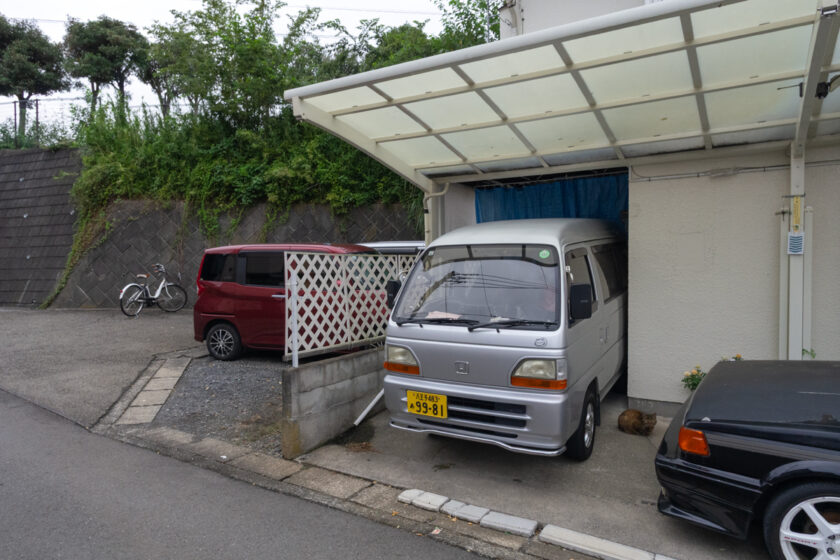 八王子市の猫